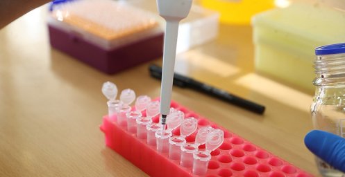 В Лондоне вспышка кори: заболели более 60 детей В Лондоне вспышка кори: заболели более 60 детей