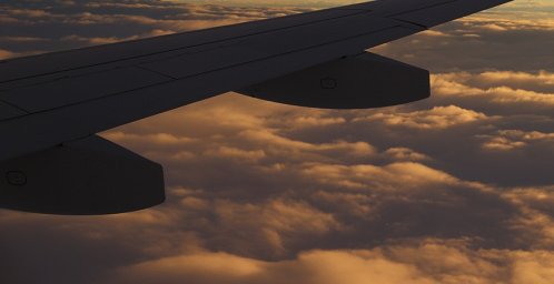 В аэропорту Пулково отменены или задержаны около 20 рейсов