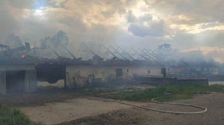 В Берестовицком районе произошел пожар на свинокомплексе