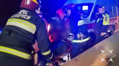 В Воложинском районе спасатели деблокировали двух человек из авто после ДТП с лосем