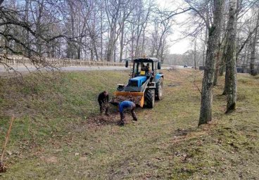 Как в Станьковском сельсовете прошел масштабный субботник