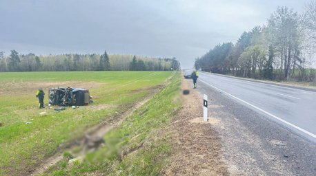 В Могилевском районе автомобиль сбил выбежавшего на дорогу лося