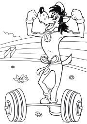 Волк штангист