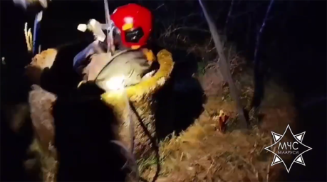 В Слонимском районе спасатели вытянули упавшего в колодец ягненка