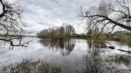 Решил переплыть на полуостров. Мужчина утонул в озере Лепельское